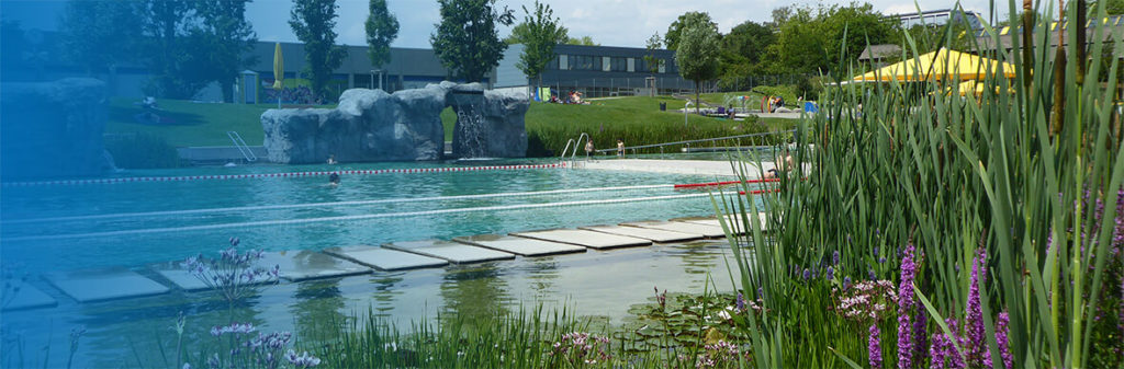 Freiluft- Schwimmbecken mit Steg, Zierfelsen und Lavendelbeet